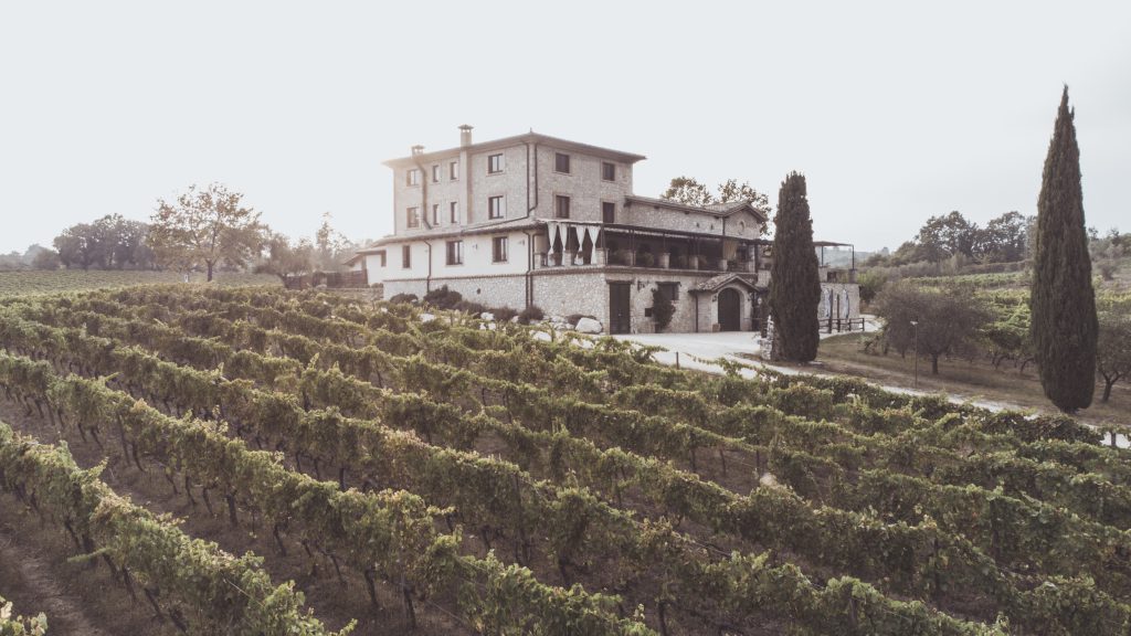 Il casale in pietra del wine resort Casale VerdeLuna sulla collina di Piglio, con i filari de L'avventura in primo piano.